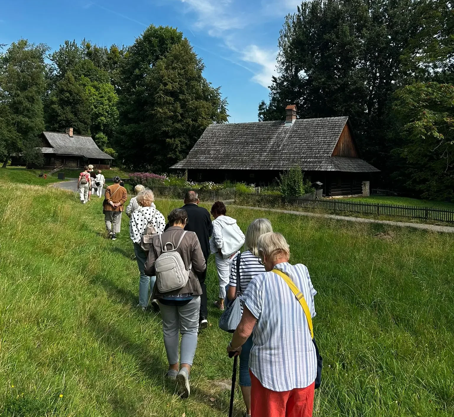 Grupa seniorów spaceruje ścieżką przez zieloną łąkę w kierunku drewnianych zabudowań skansenu